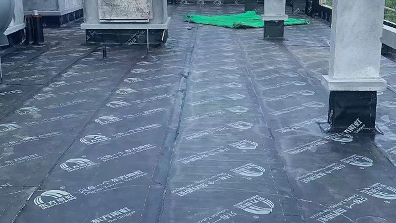 聚氨酯防水涂料：揭秘其性能与选购要点